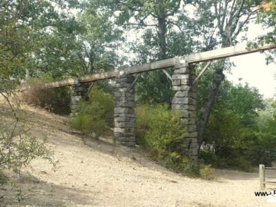 Bosques de Valsaín y Real Sitio de La Granja: Ruta de Senderismo; federacion montaña madrid grupos m